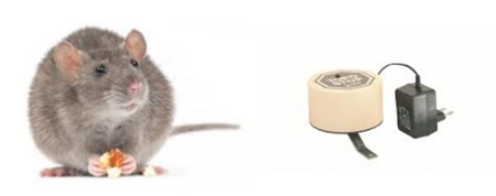 produit anti nuisible